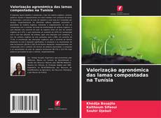 Buchcover von Valorização agronómica das lamas compostadas na Tunísia