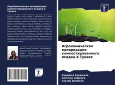 Buchcover von Агрономическая валоризация компостированного осадка в Тунисе