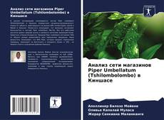 Buchcover von Анализ сети магазинов Piper Umbellatum (Tshilombolombo) в Киншасе