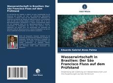 Wasserwirtschaft in Brasilien: Der São Francisco Fluss auf dem Prüfstand kitap kapağı