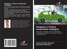 Couverture de Idrogeno: il futuro carburante ecologico