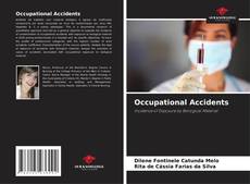 Bookcover of Occupational Accidents