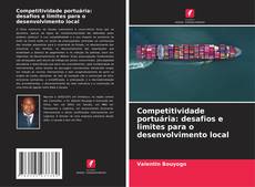 Competitividade portuária: desafios e limites para o desenvolvimento local的封面