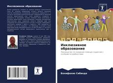 Инклюзивное образование kitap kapağı