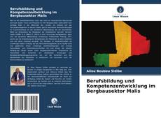 Berufsbildung und Kompetenzentwicklung im Bergbausektor Malis kitap kapağı