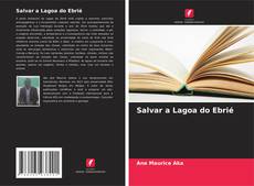 Salvar a Lagoa do Ebrié kitap kapağı