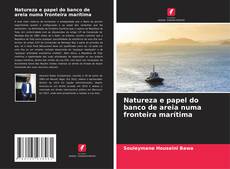 Bookcover of Natureza e papel do banco de areia numa fronteira marítima