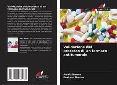 Couverture de Validazione del processo di un farmaco antitumorale