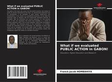 Bookcover of What if we evaluated PUBLIC ACTION in GABON!