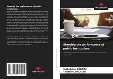 Portada del libro de Steering the performance of public institutions