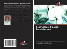 Copertina di Costruzione di pozzi. Pozzi d'acqua