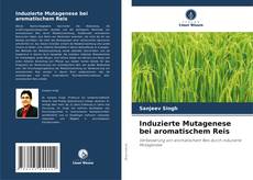 Borítókép a  Induzierte Mutagenese bei aromatischem Reis - hoz