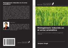 Buchcover von Mutagénesis inducida en el arroz aromático