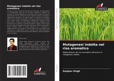 Mutagenesi indotta nel riso aromatico的封面