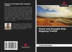 Flood and Drought Risk Mapping Profile kitap kapağı