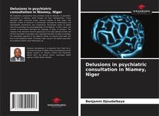 Bookcover of Delusions in psychiatric consultation in Niamey, Niger