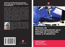 Sistema de Microencapsulação para Entrega de Compostos Vitais e Probióticos的封面