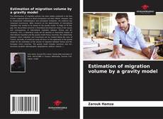 Buchcover von Estimation of migration volume by a gravity model