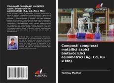 Couverture de Composti complessi metallici azoici bieterociclici asimmetrici (Ag, Cd, Ru и Mn)