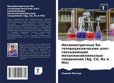 Bookcover of Несимметричные би-гетероциклические азот-связывающие металлокомплексные соединения (Ag, Cd, Ru и Mn)
