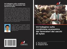 Buchcover von Un'indagine sulla condizione economica dei lavoratori dei sacchi di nylon