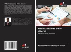 Ottimizzazione delle risorse kitap kapağı