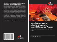 Copertina di Identità rumena e alterità zingara in Leonid Mamaliga Arcade