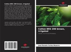 Couverture de Cotton BRS 200 brown, irrigated