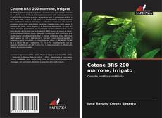 Copertina di Cotone BRS 200 marrone, irrigato