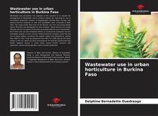 Buchcover von Wastewater use in urban horticulture in Burkina Faso