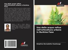 Borítókép a  Uso delle acque reflue nell'orticoltura urbana in Burkina Faso - hoz