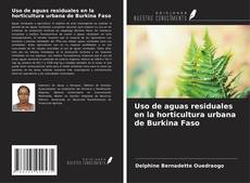 Buchcover von Uso de aguas residuales en la horticultura urbana de Burkina Faso