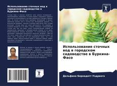 Buchcover von Использование сточных вод в городском садоводстве в Буркина-Фасо