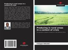 Buchcover von Producing in rural areas in a context of crisis