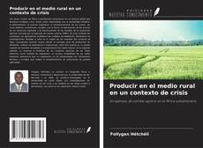 Producir en el medio rural en un contexto de crisis的封面