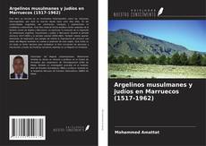 Argelinos musulmanes y judíos en Marruecos (1517-1962)的封面