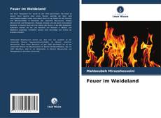 Feuer im Weideland kitap kapağı