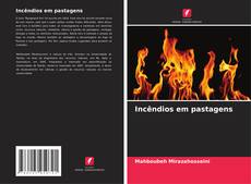 Couverture de Incêndios em pastagens