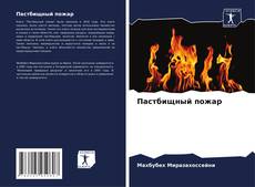 Capa do livro de Пастбищный пожар 