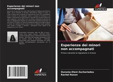 Esperienze dei minori non accompagnati kitap kapağı