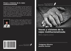 Voces y visiones de la vejez institucionalizada的封面