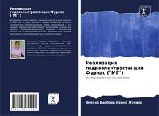 Реализация гидроэлектростанции Фурнас ("МГ") kitap kapağı