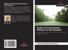 Copertina di Public Environmental Policies in the Amazon