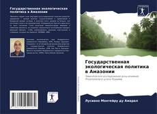 Bookcover of Государственная экологическая политика в Амазонии