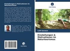 Capa do livro de Einstellungen & Motivationen im Naturtourismus 