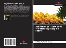 Activation of latent buds of different pineapple shoots kitap kapağı