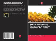 Buchcover von Activação de gomos latentes de diferentes rebentos de ananás