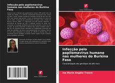 Infecção pelo papilomavírus humano nas mulheres do Burkina Faso的封面