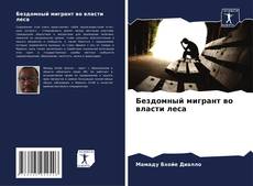 Бездомный мигрант во власти леса kitap kapağı