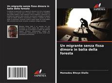 Un migrante senza fissa dimora in balia della foresta的封面